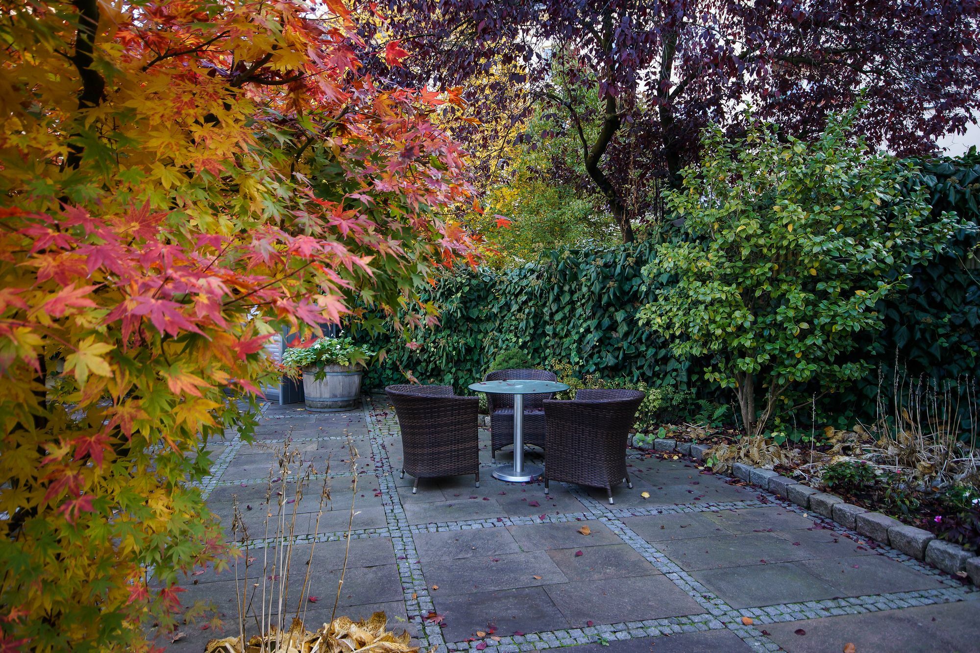 Apartmenthotel Kaiser Karl Bonn Exterior photo